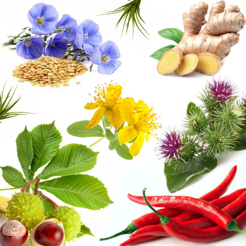 Купаж №21 CO2 экстракт для стимуляции роста волос (водорастворимый)  